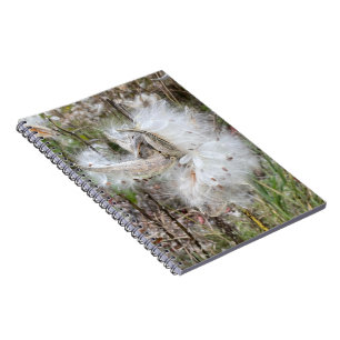 Open Milkweed Pods   Seeds with Silk   Spiral Notebook