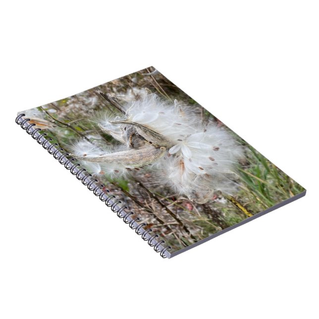 Open Milkweed Pods | Seeds with Silk | Spiral Notebook (Right Side)