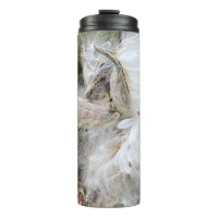 Open Milkweed Pods | Seeds with Silk |