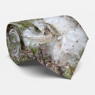 Open Milkweed Pods   Seeds with Silk   Tie