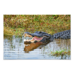 Open Mouth Photo Print