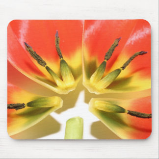 Open re-constructed red tulip mouse pad