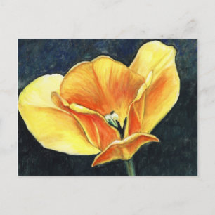 Open Tulip Art Flower Art Reproduction Postcard