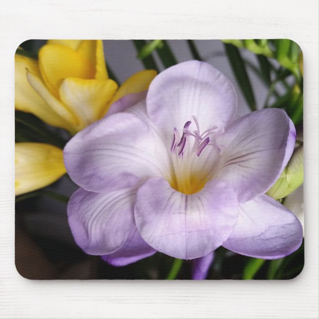 open violet freesia mouse pad (Front)