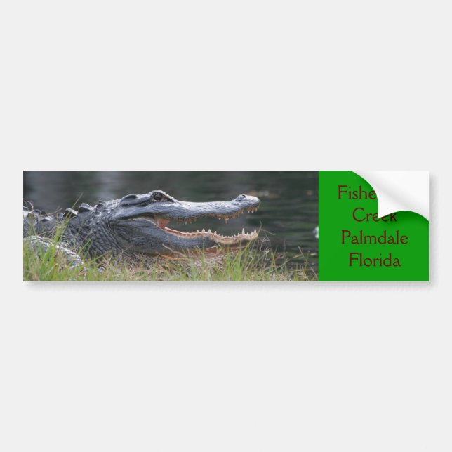Open wide  Fisheating Creek Palmdale Florida Bumper Sticker (Front)