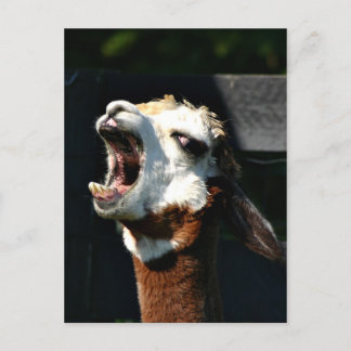 Open wide postcard