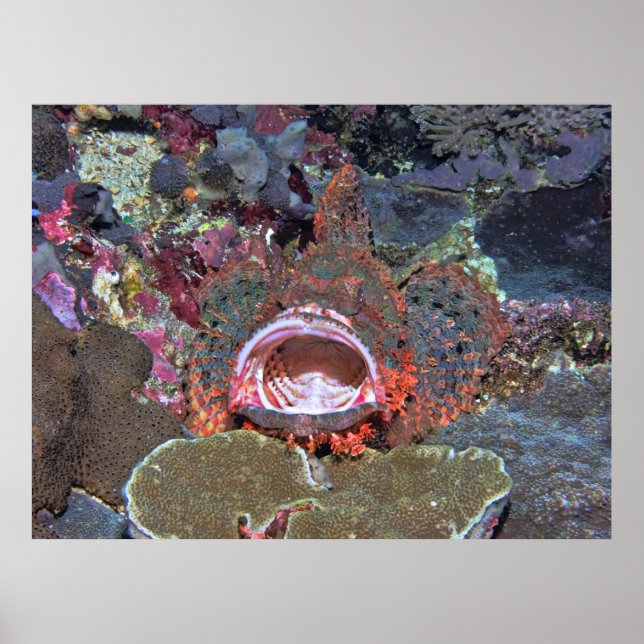 Open Wide Poster (Front)