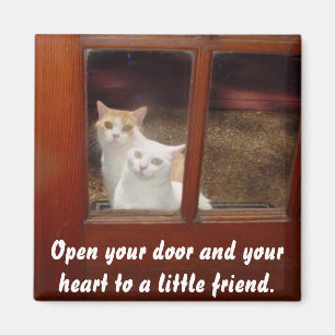 Open your heart magnet