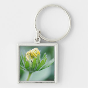 Opening Flower Of Cone Flower Keychain
