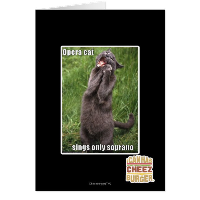Opera Cat (Devant)