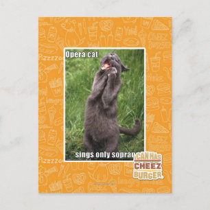 Opera Cat Postcard