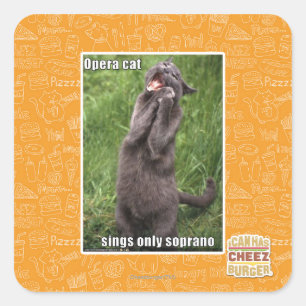 Opera Cat Square Sticker