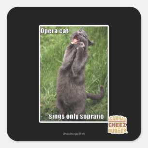 Opera Cat Square Sticker
