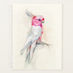 Opera Cockatoo