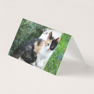 Opera Phantom Cat