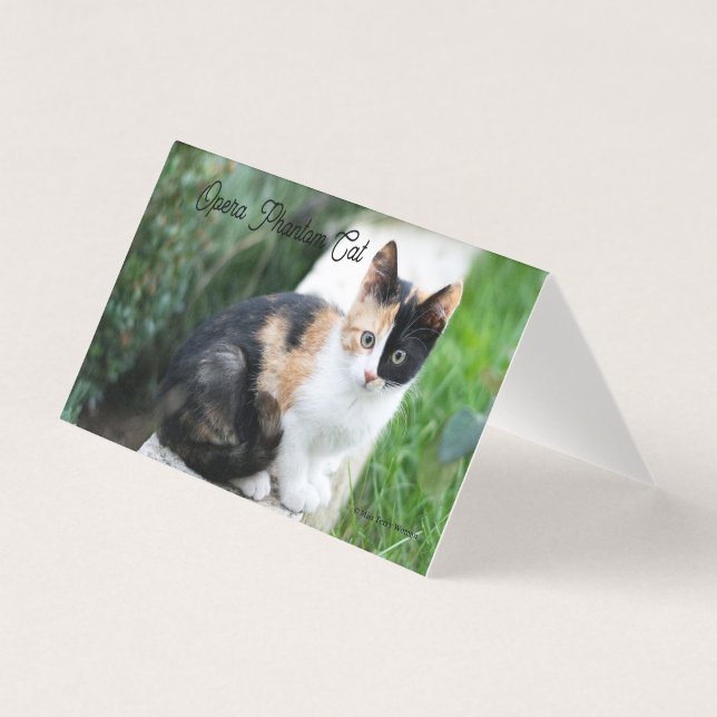 Opera Phantom Cat (Front)