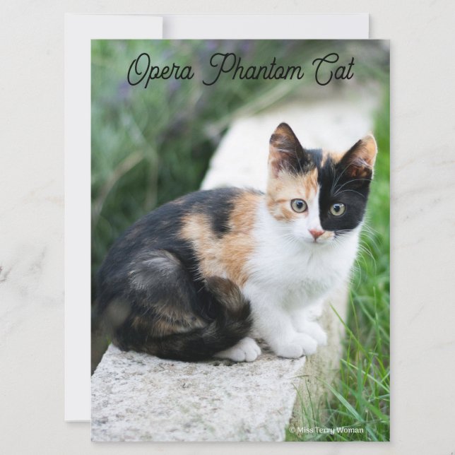Opera Phantom Cat Card (Front)