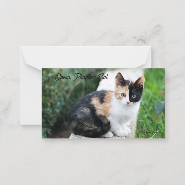 Opera Phantom Cat Card (Front)