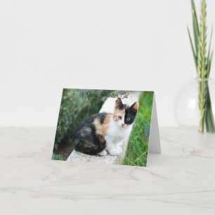 Opera Phantom Cat Card