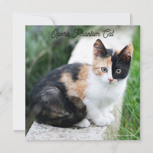 Opera Phantom Cat Card (Front)