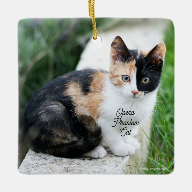 Opera Phantom Cat Ceramic Ornament (Front)