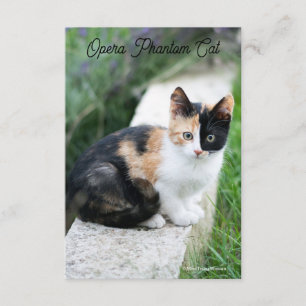 Opera Phantom Cat Enclosure Card