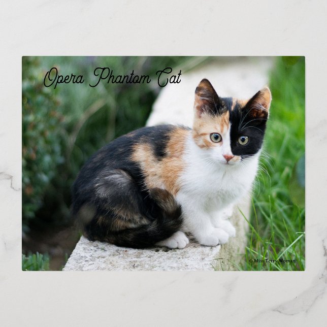 Opera Phantom Cat Foil Holiday Postcard (Front)