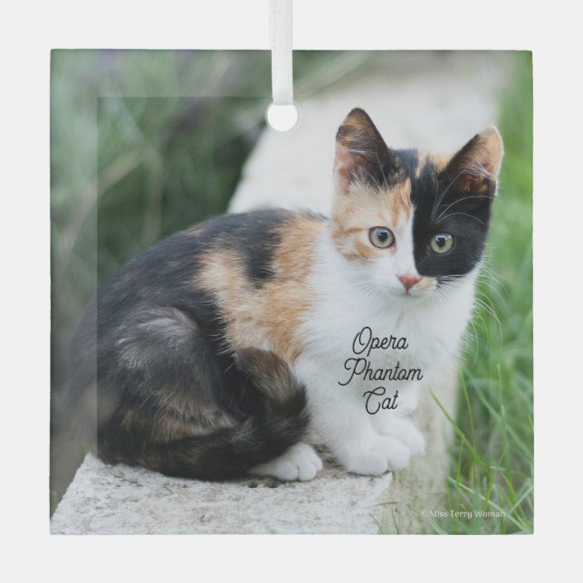 Opera Phantom Cat Glass Ornament (Front)