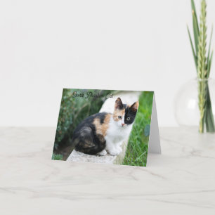 Opera Phantom Cat Invitation