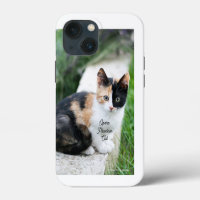 Opera Phantom Cat