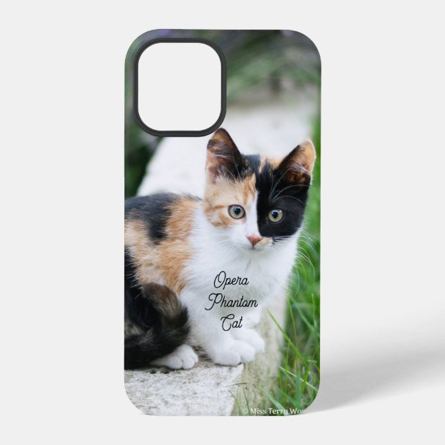 Opera Phantom Cat iPhone Case (Back)