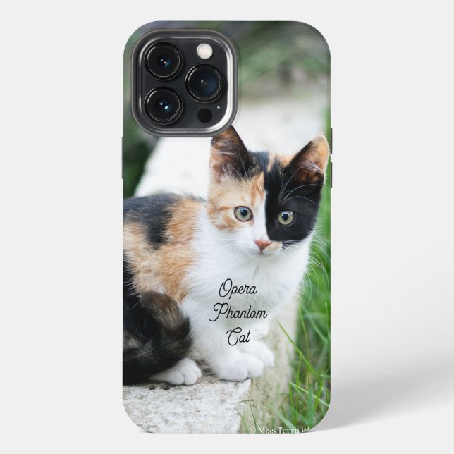 Opera Phantom Cat iPhone Case (Back)