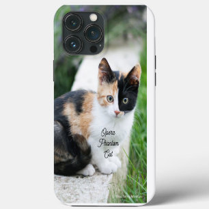 Opera Phantom Cat iPhone 13 Pro Max Case