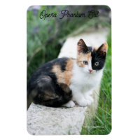 Opera Phantom Cat