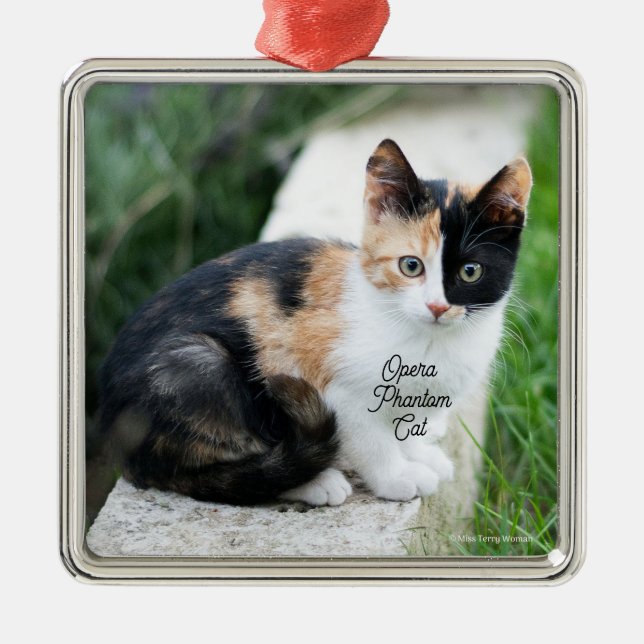 Opera Phantom Cat Metal Ornament (Front)