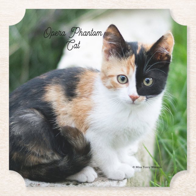 Opera Phantom Cat Paper Coaster (Front)