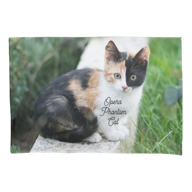 Opera Phantom Cat Pillowcase (Front)