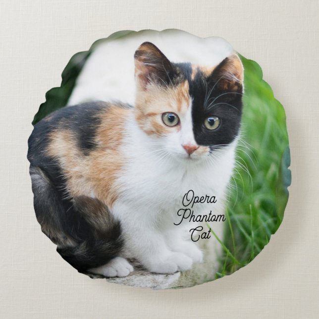 Opera Phantom Cat Round Pillow (Front)
