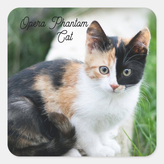 Opera Phantom Cat Square Sticker (Front)