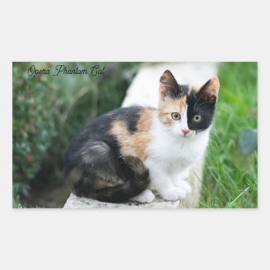 Opera Phantom Cat Sticker
