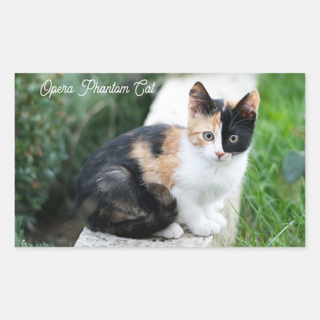 Opera Phantom Cat Sticker (Front)
