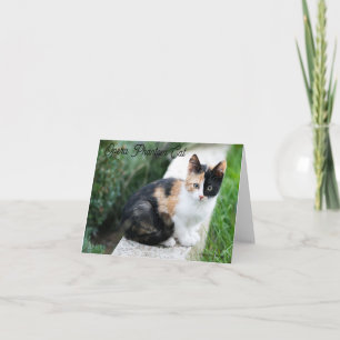 Opera Phantom Cat Thank You Card