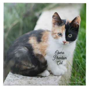 Opera Phantom Cat Tile
