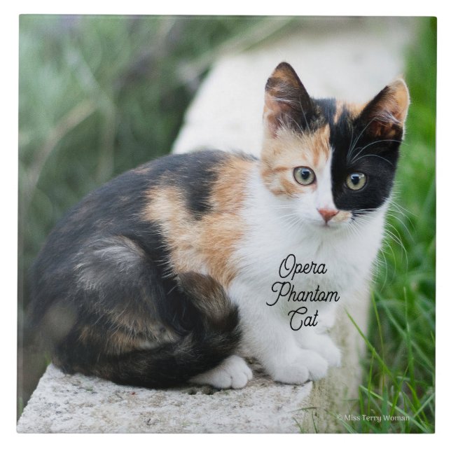 Opera Phantom Cat Tile (Front)