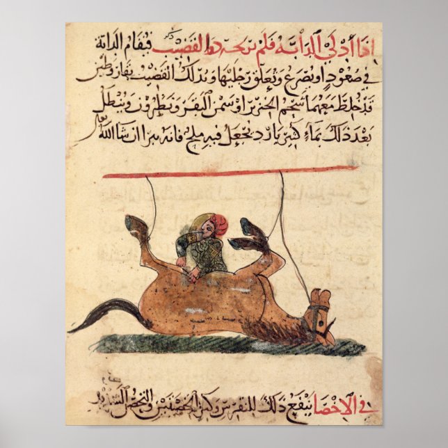 Operation on a horse, illustration poster (Front)