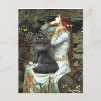 Ophelia - black Persian cat Postcard