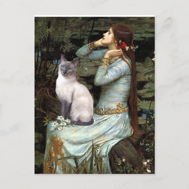 Ophelia - Blue Point Siamese cat Postcard (Front)