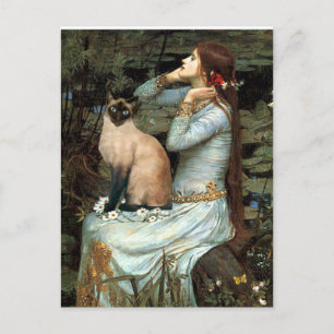 Ophelia - Seal Point Siamese Cat Postcard