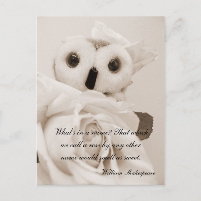 Ophelia - The Romantic Owl Postcard (Front)