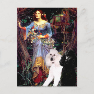 Ophelia (Woods)-2 Standard Poodles Postcard